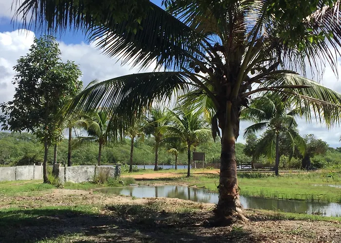 Sitio Aguas Do Eden , Pe Na Areia, Frente Rio, Praia E Campo No Mesmo Lugar