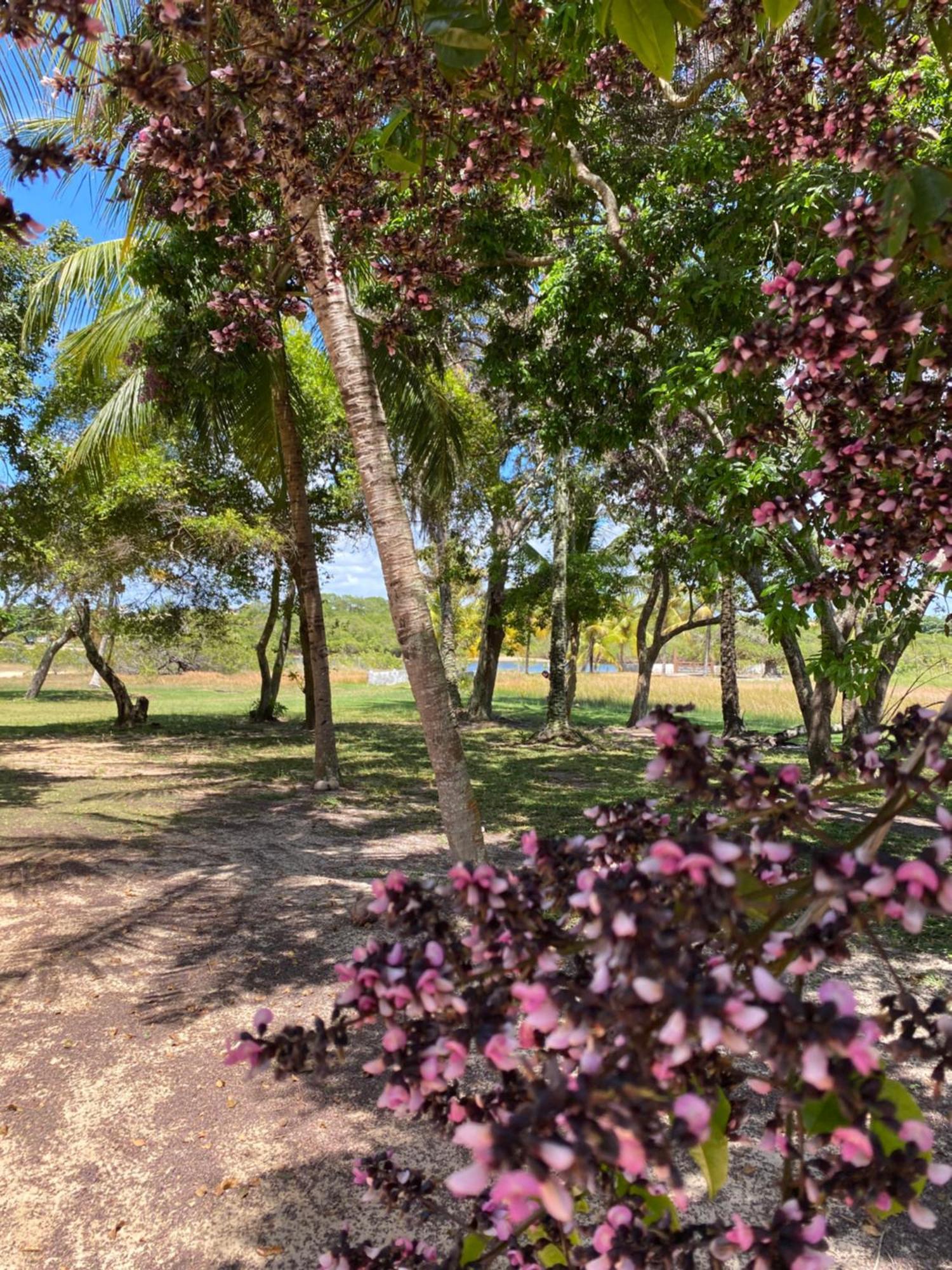 Sitio Aguas Do Eden , Pe Na Areia, Frente Rio, E Campo No Mesmo Lugar *